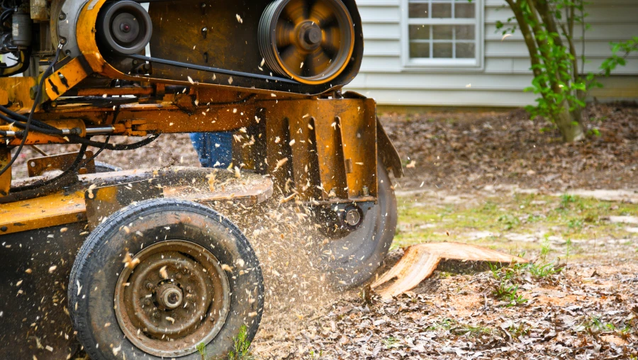 Tree Stump Removal